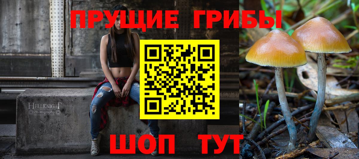 Псилоцибиновые грибы Psilocybine cubensis Нефтекамск