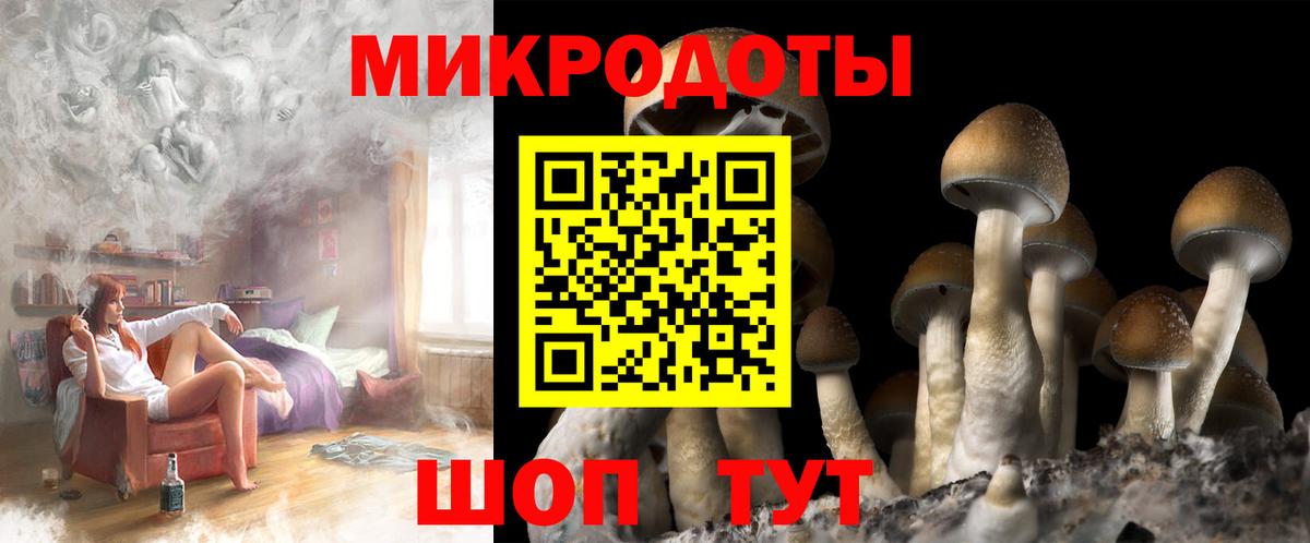 Псилоцибиновые грибы мицелий  Галлюциногенные грибы мицелий  где продают наркотики  Вход с VPN  Нефтекамск 